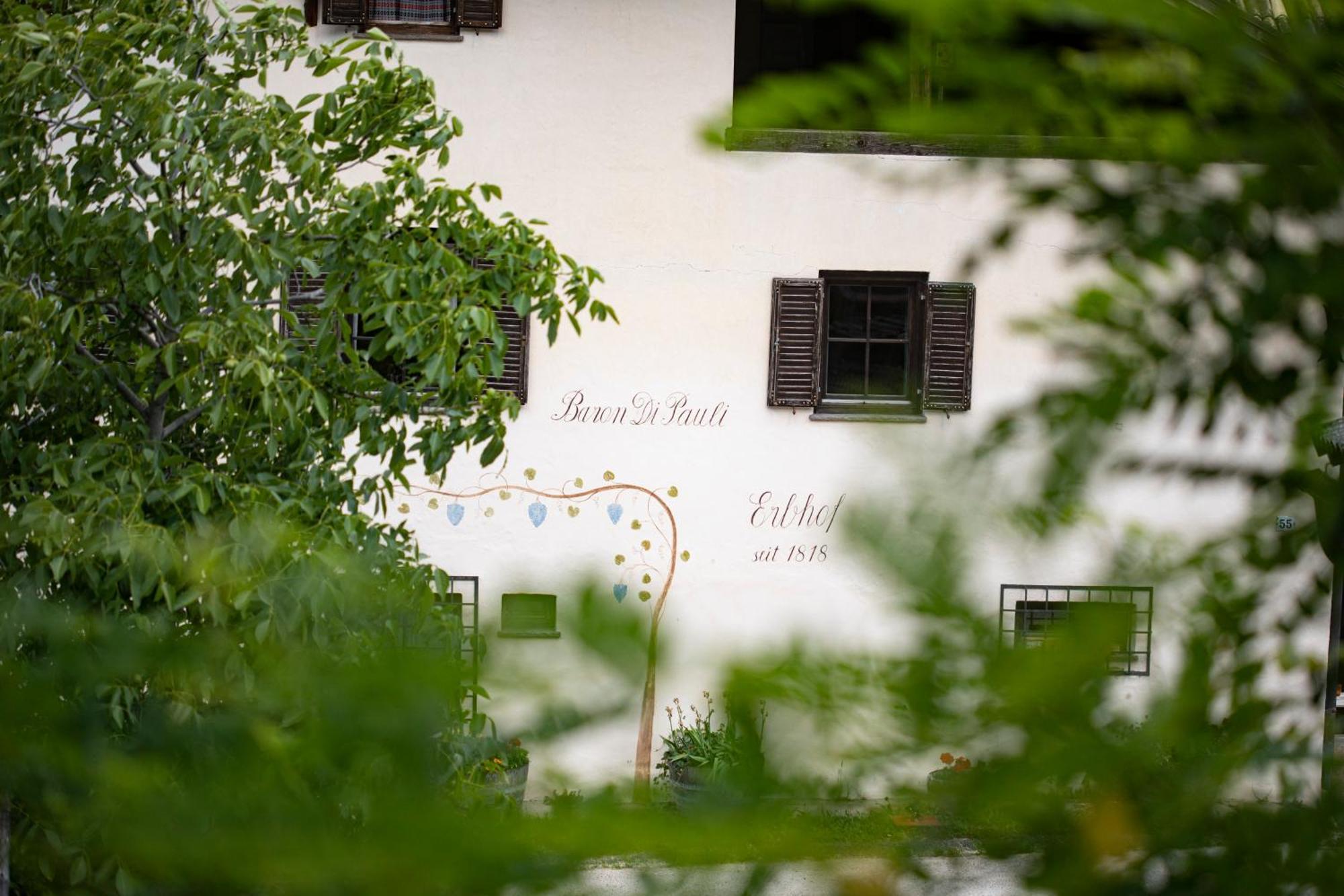 Arzenhof, Baron Di Pauli Apartment