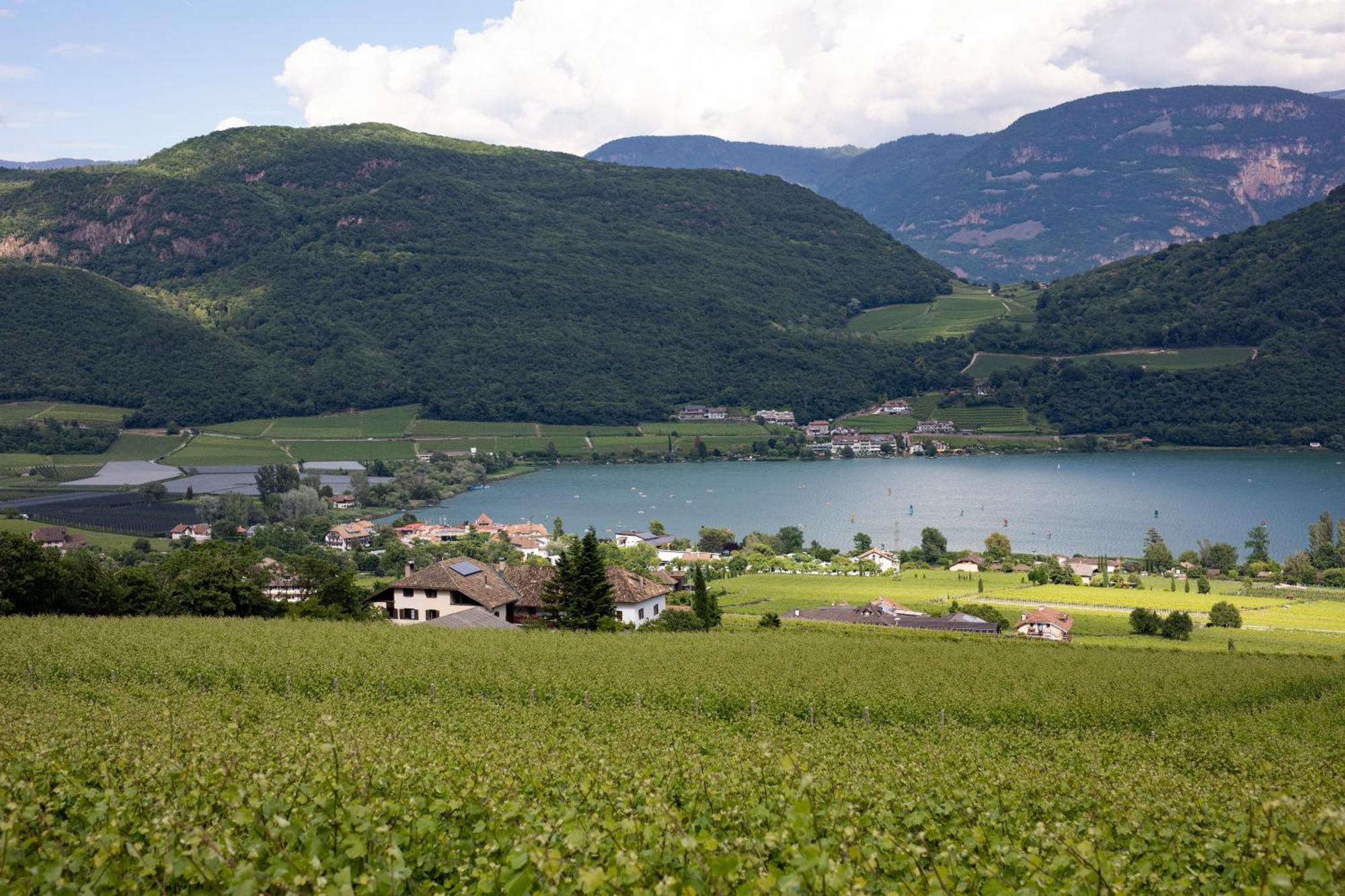 Arzenhof, Baron Di Pauli