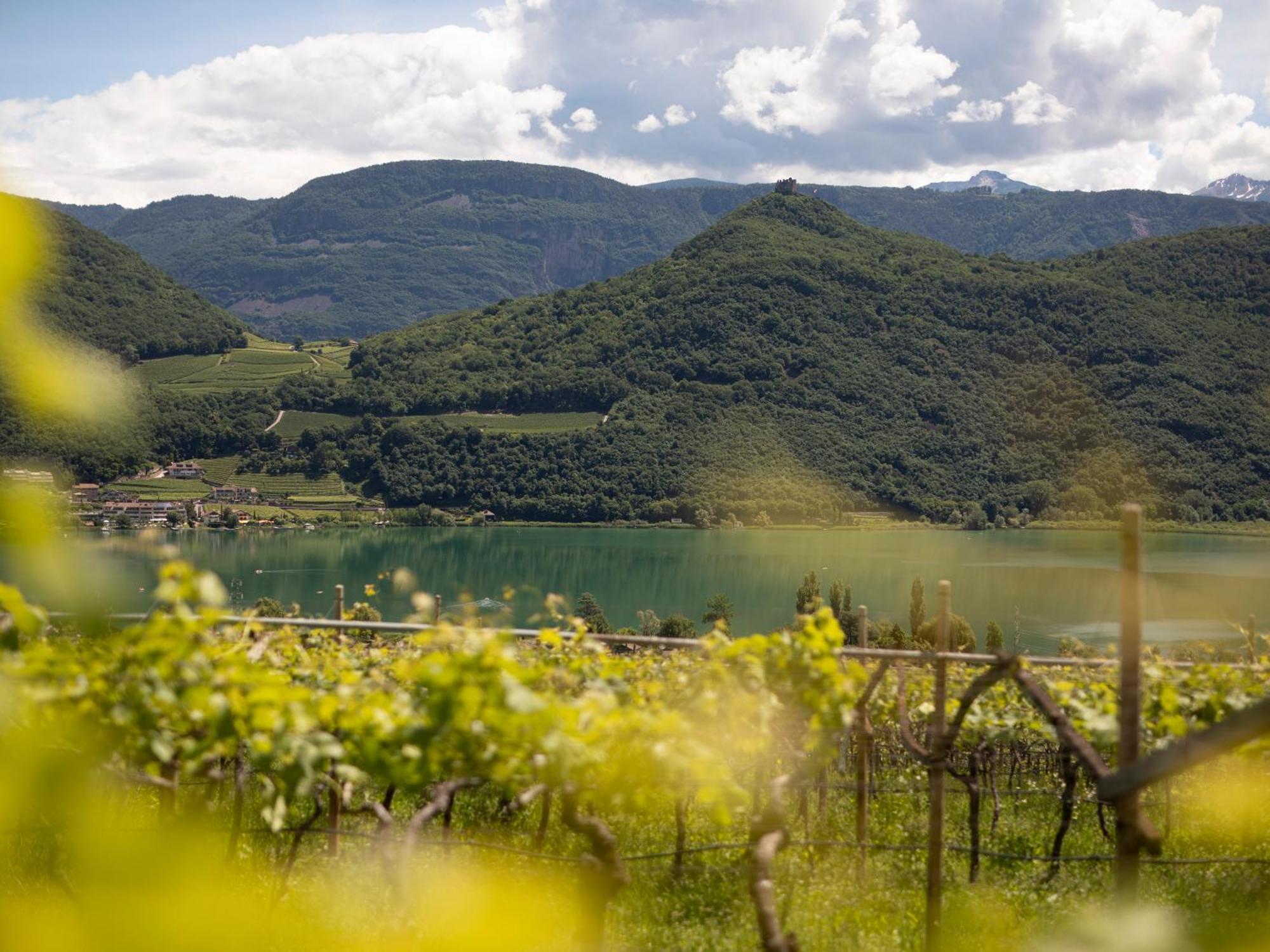 Arzenhof, Baron Di Pauli * Caldaro
